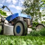 Detaillierter Leitfaden zu Berliner Landschaftsbau- und Gartenpflegediensten