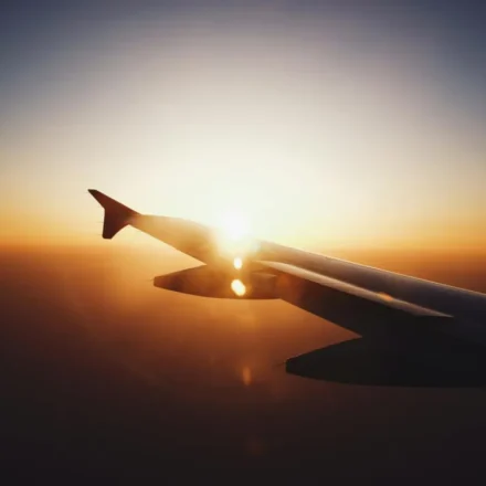 Die 5 besten Services für Fliegen in Siegen – Klassische Akzente für formelle Garderobe