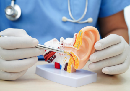 5 selected ENT services in Erlangen – targeted treatment of ear, nose and throat complaints