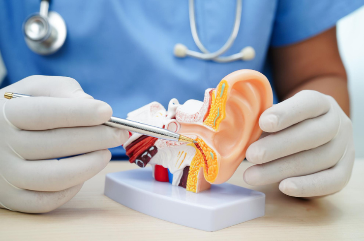 5 selected ENT services in Erlangen – targeted treatment of ear, nose and throat complaints